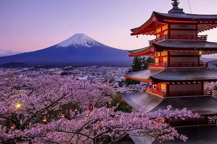 Japan Skyline