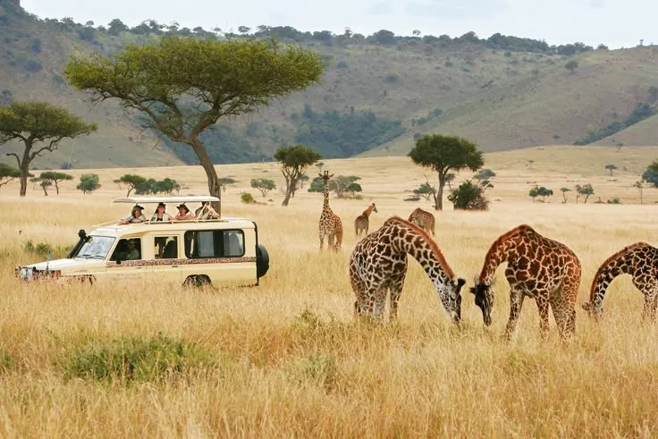 Kenya Skyline