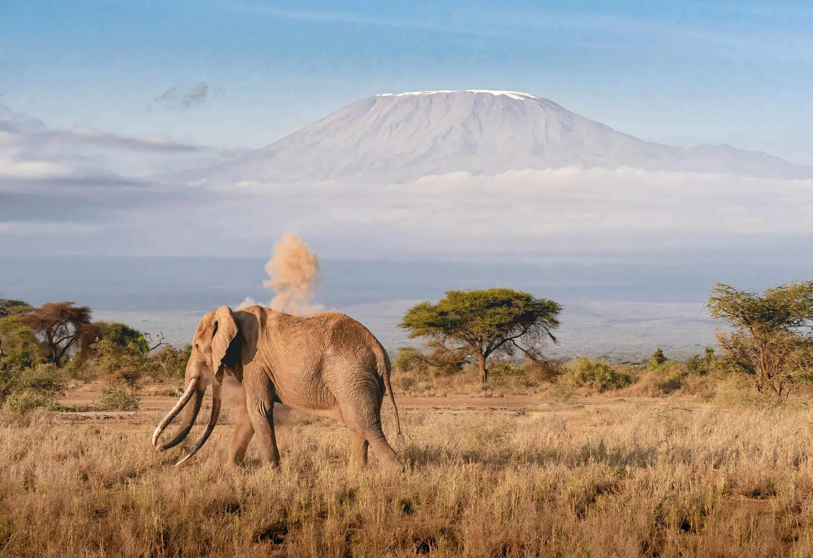 Tanzania Skyline